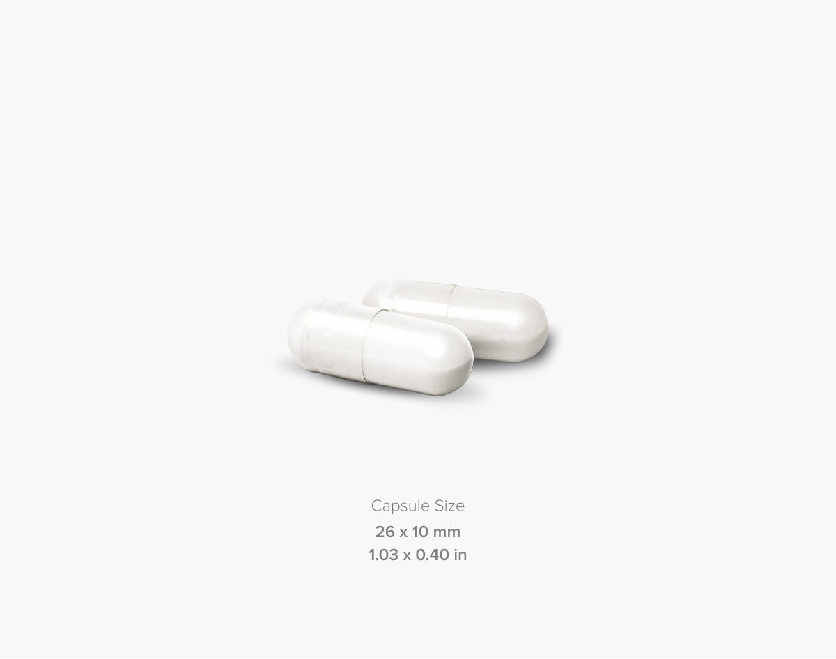 Maxler Arginin-Ornitin-Lizin, 100 Kapsula – Podrška Rast Hormona i Regeneraciji