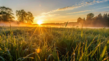 Vitamin D - Sunčev vitamin koji vraća energiju, snagu i ravnotežu