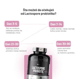 Basic Supplements LactoSpore® Probiotic – 90 kapsula