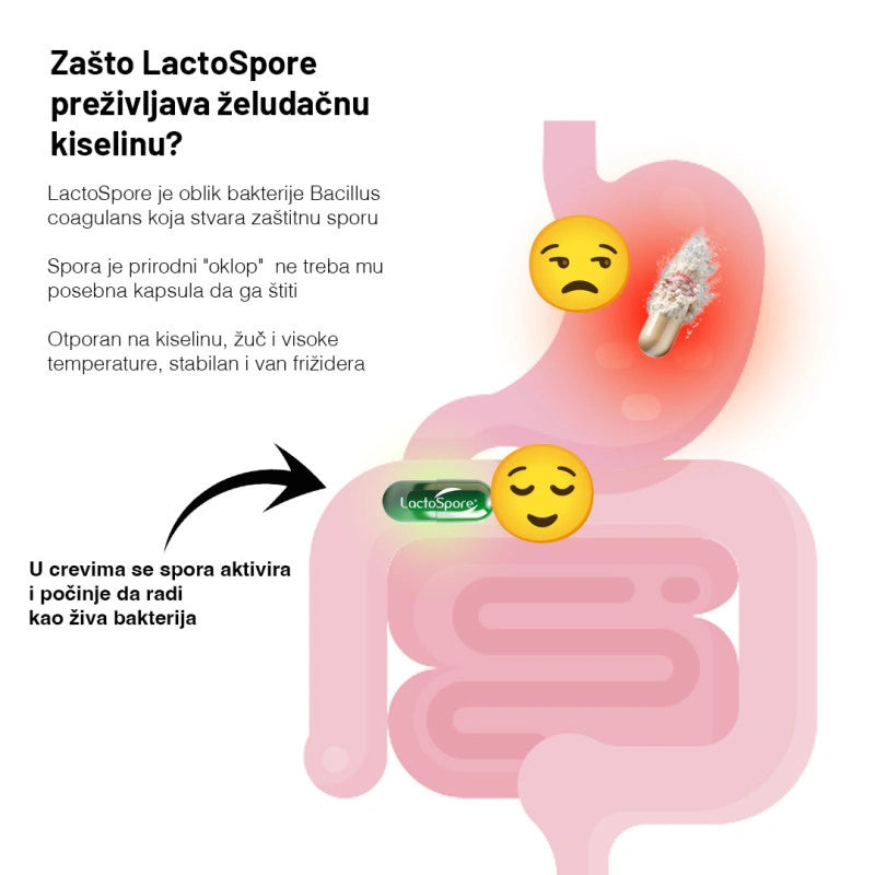 Basic Supplements LactoSpore® Probiotic – 90 kapsula
