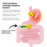 Basic Supplements LactoSpore® Probiotic – 90 kapsula
