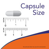 NOW Foods Acidophilus Two Billion, 100 Kapsula – Zdrava Crevna Flora