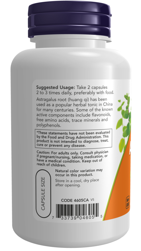 NOW Foods Astragalus 500 mg – Prirodna Podrška Imunološkom Sistemu